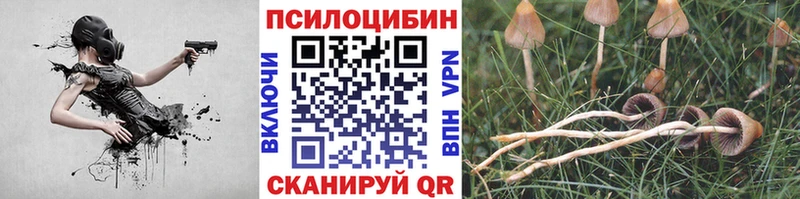 наркошоп  Красный Сулин  OMG сайт  Псилоцибиновые грибы GOLDEN TEACHER 