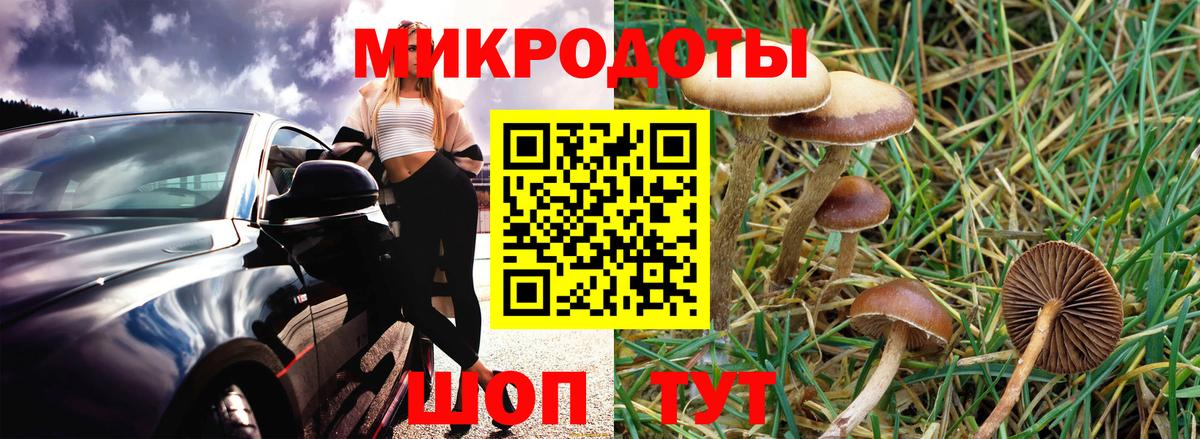 Псилоцибиновые грибы Psilocybe Красный Сулин